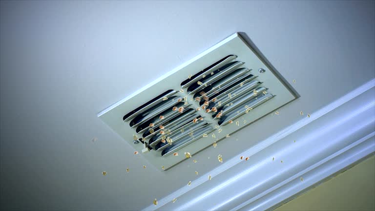 Best Best Air Duct Cleaning Company  in Safford, AZ