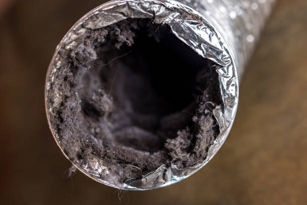 Best Residential Air Duct Cleaning  in Safford, AZ